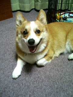 ���O�́O